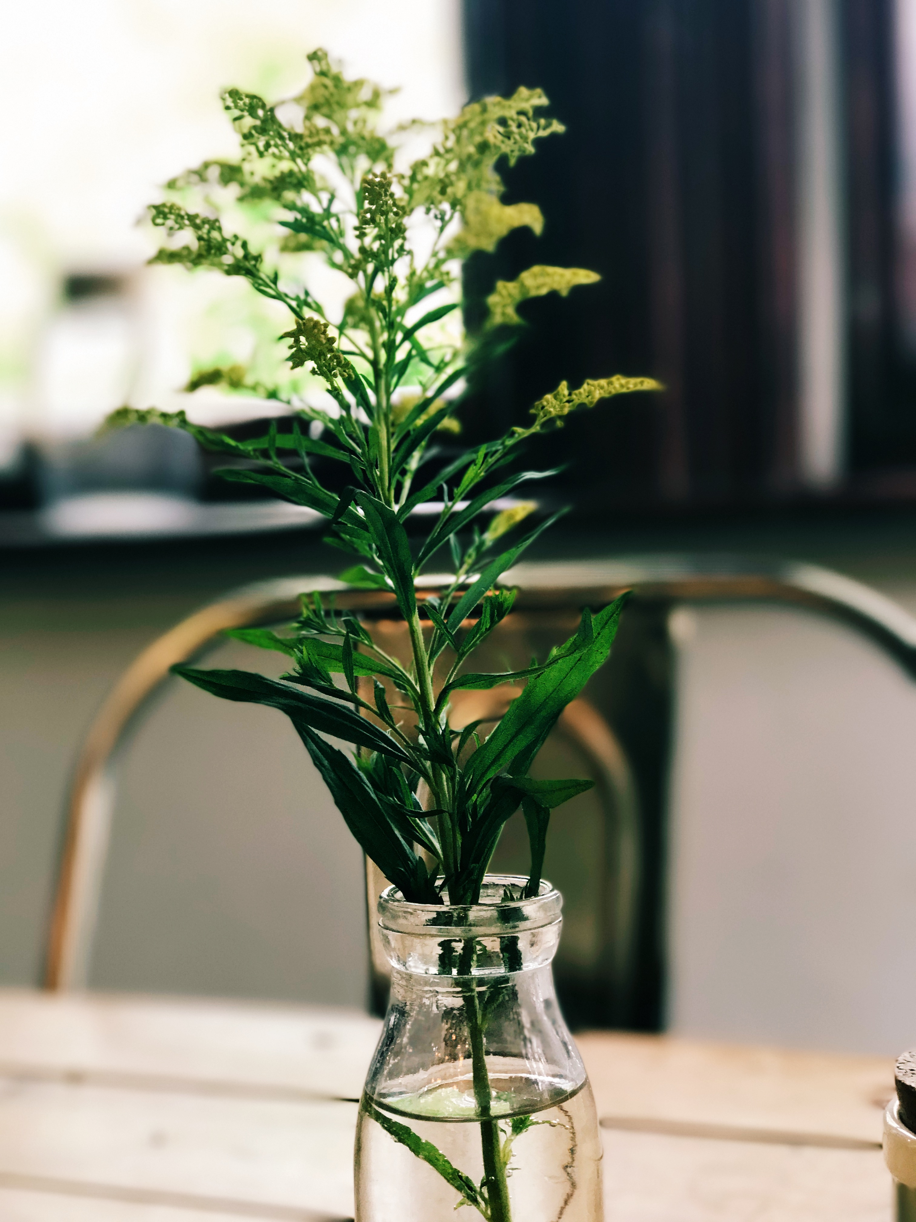 Alexandra Palace Cafe Decor